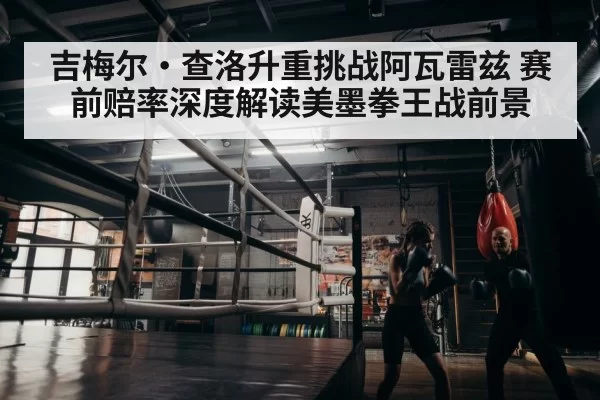 boxer training